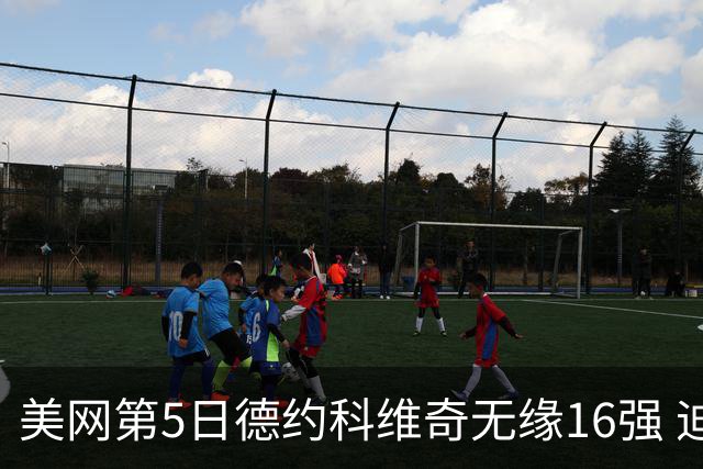 美网第5日德约科维奇无缘16强 迪米卢布列夫会师